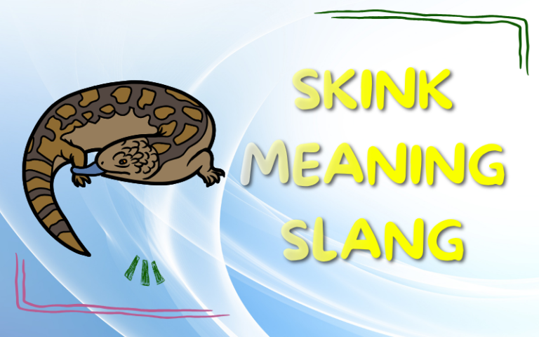 Skink Meaning Slang